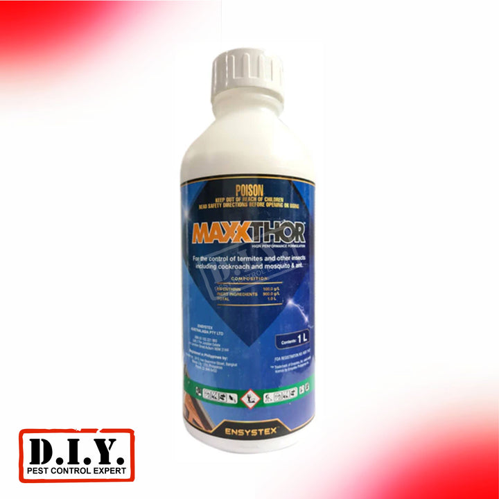 Termite Control – DIY Pest Control Expert