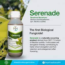 Serenade Bio Organic Fungicide - Bacillus amyloliquefaciens